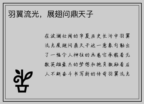 羽翼流光，展翅问鼎天子